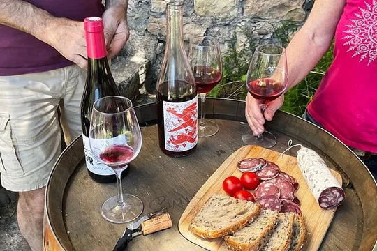 Visit to the Faugères Vineyards with Picnic from Béziers