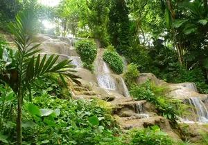 Konoko Falls and Park Private Tour with Hotel Pickup