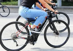 NYC: Central Park and Lower Manhattan Electric Bike Rentals