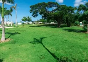 Private Beach Day and Street Food Tour from Montego Bay