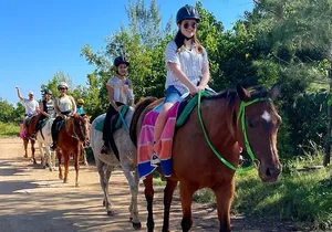 Tripple Play: Green Grotto Cave Horseback Riding and River Tubing