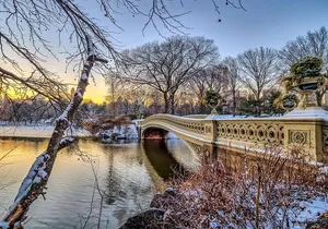 Self Guided Central Park Scavenger Hunt