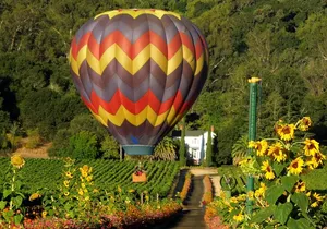 Thrilling Napa Balloon Ride: No change after 5pm the day prior to balloon tour
