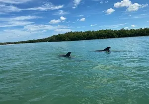 Single Kayak Rental on Big Hickory Pass