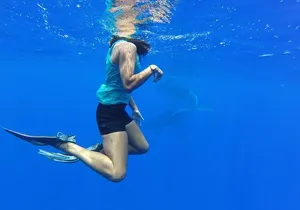 Whale Watching Tours in Bora Bora