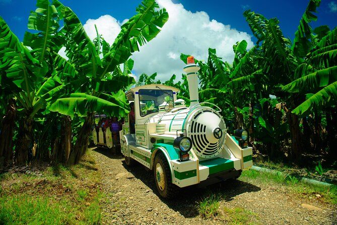 Small train tour of a banana farm in Martinique
