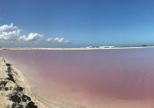 LAS COLORADAS & RIO LAGARTOS from Riviera Maya and Cancun (Private)