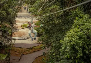 Appleton Estate Admission & Rum Tastings with YS Falls Ziplining