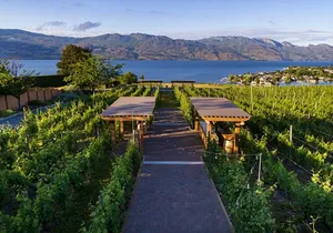 Private Wineries Tour of Kelowna