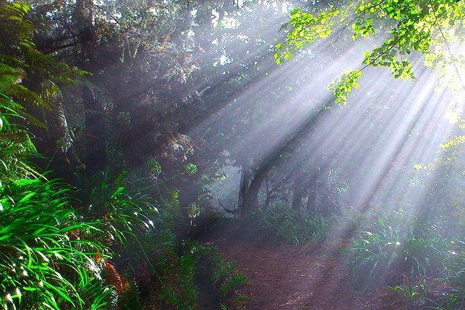 Paradise Valley - Levada Walk