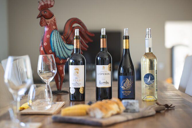 Wine Degustation, Visit and Masterclass in Chateau L'Eperon