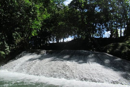 Private Benta River Excursion from Montego Bay