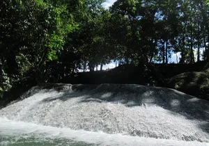 Private Benta River Excursion from Montego Bay