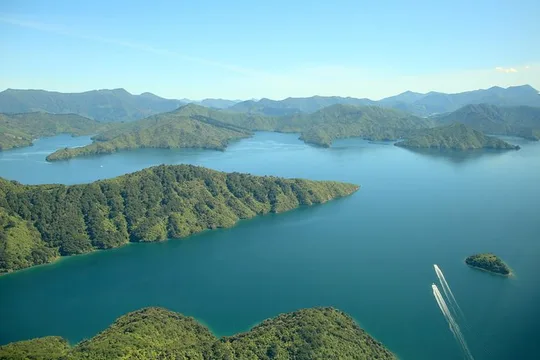 Bays and Bush Flight Scenic Tour