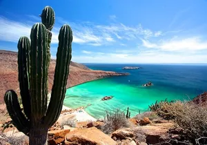Espiritu Santo Island with Snorkeling and Lunch! Round Trip