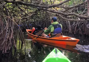 2Hour Everglades Kayak Safari Adventure Through Mangrove Tunnels