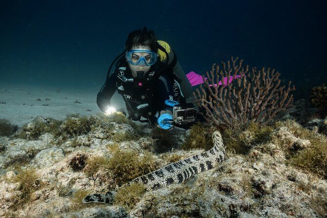 Full Day Private Scuba Diving in Espiritu Santo Island