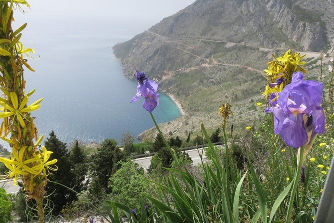 Brela/Omiš - grab the best