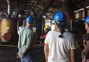 Hampden Estate Rum Tour and Lunch from Falmouth