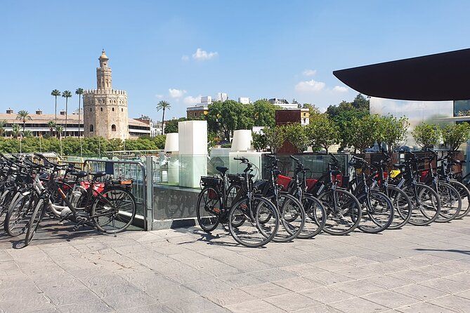Bike Rental per Day in Seville