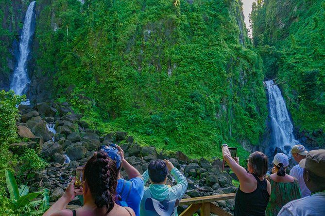 Waterfall And Champagne Reef Adventure