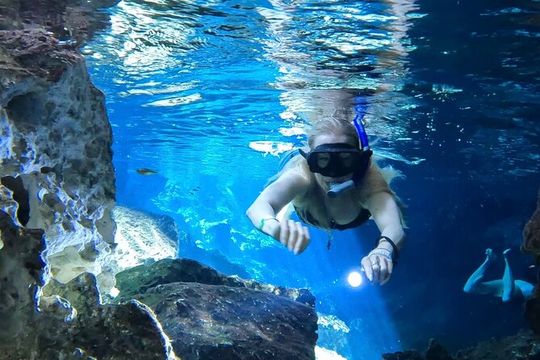 Best in Class: Private Snorkeling Xpedition