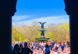 Central Park privet pedicab delux tour -1 hour