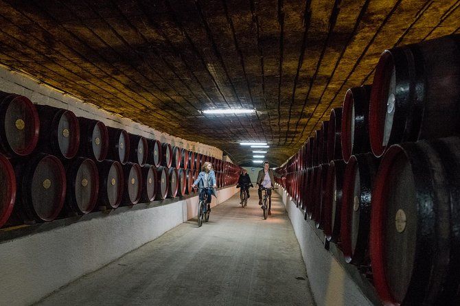Private Bike Tour to Cricova Winery with wine tasting and lunch