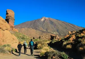 Half-day excursion to Teide National Park