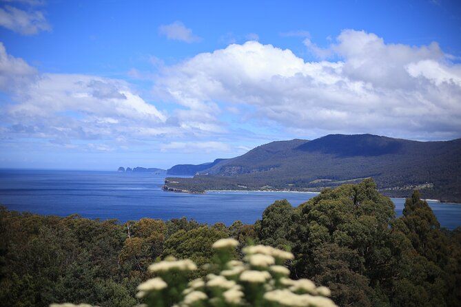Tasman Peninsula - Wild Escapes From Hobart