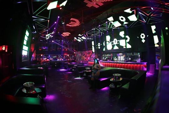 Miami Night: the Ultimate Nightclub Experience