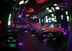 Miami Night: the Ultimate Nightclub Experience