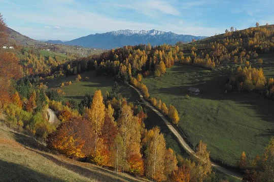 Village life in Transylvanian Carpathian mountains - 8 days