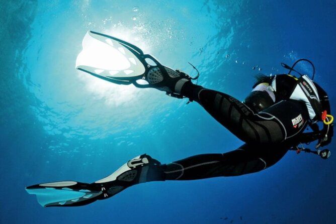 Madeira, Ponta São Lourenço: Scuba Diving for Beginners