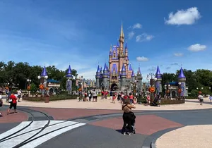 Private Transfer from Disney and Universal to Orlando Airport MCO