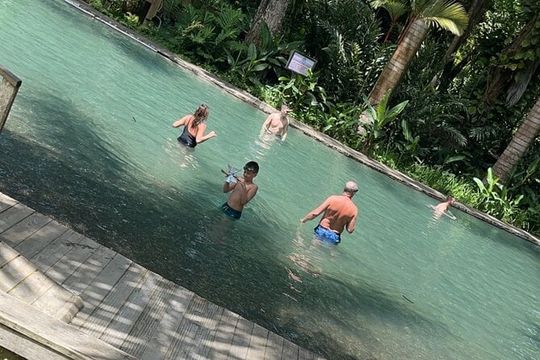 Appleton estate,YS Falls,Black River Safari,Pelican Bar(any 3of4)