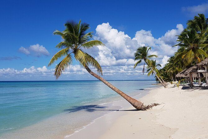Full-Day Tour to Saona Island from Bayahibe with Lunch