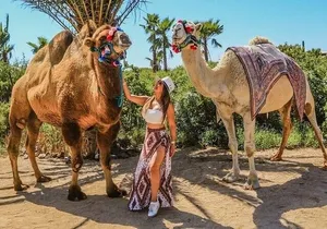 Camel Ride, UTV, and The Arch Tour with Lunch & Tequila Tasting!