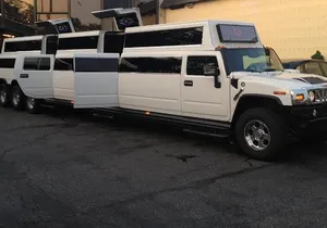 NYC Sightseeing Tour Manhattan (Party Galaxy H2 Hummer)
