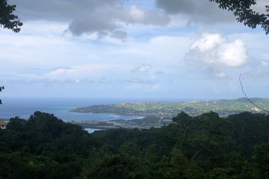 Rock-land Hummingbird Sanctuary