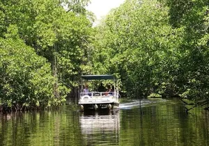 Black River Safari plus YS Falls Private Tour