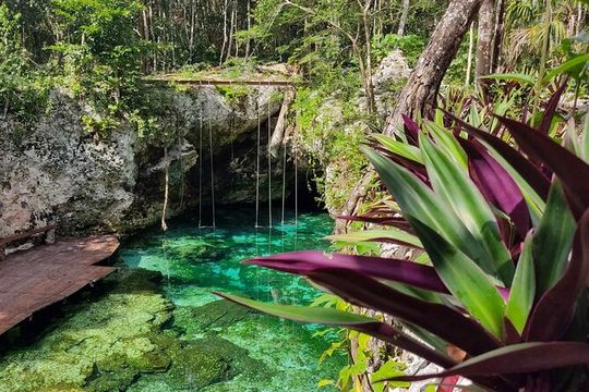 Kuxtal Cenote with Coba and Tulum Ruins Guided Tour from Cancun