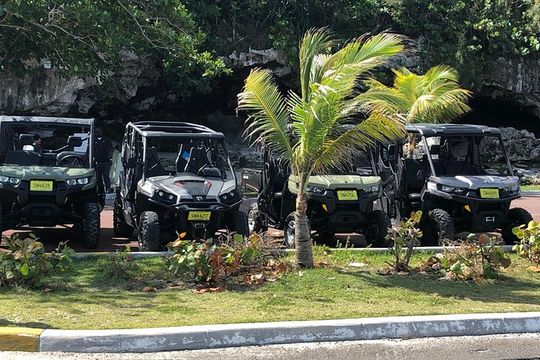 Fun Side x Side Buggy Rentals