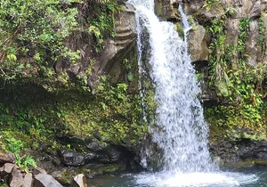 Private Half Day Road to Hana Tour