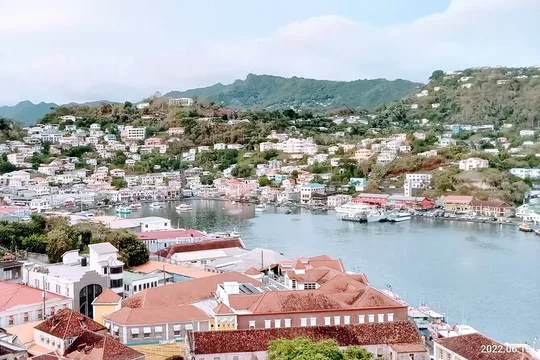 Into the Wild: Grenada Rainforest, Crater Lake & Mona Monkeys!