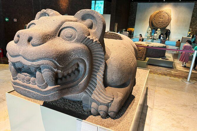 Anthropology Museum (6 people maximum).