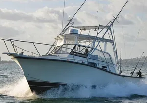 Bertram 35ft boat sport fishing cancun up to 6 passengers