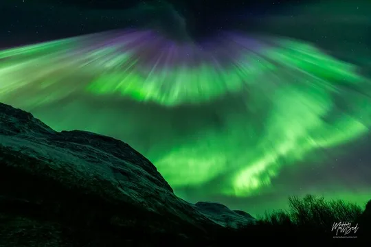 Northern Lights Guided Bus Tour with Free Photos
