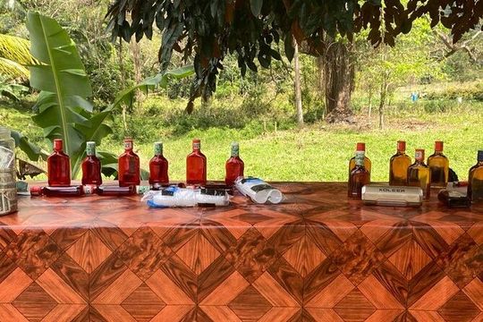 RastaSafari and Negril tour with French Guide