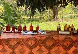 RastaSafari and Negril tour with French Guide